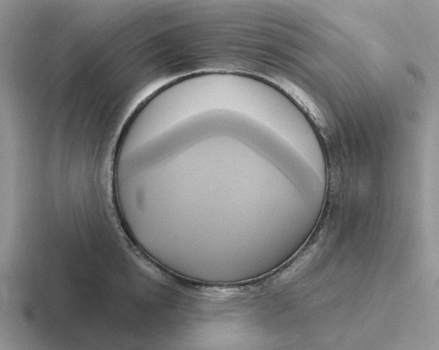 X0000116650854201001041049