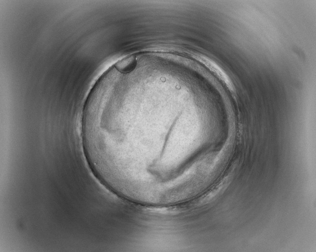 X0000116650855201001041049