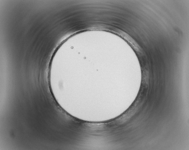 X0000116650856201001041049