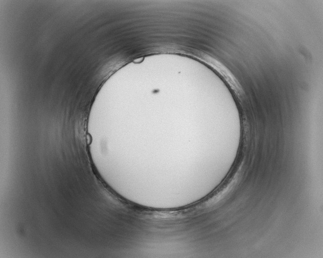 X0000116650857201001041049