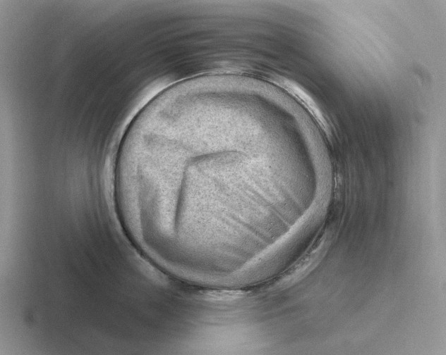 X0000116650859201001041049