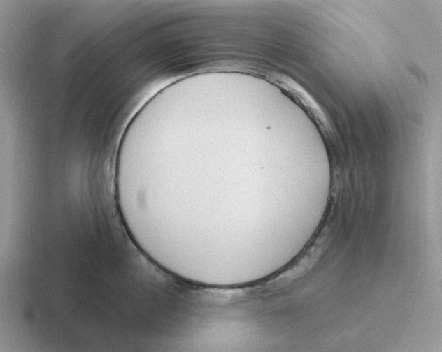 X0000116650860201001041049