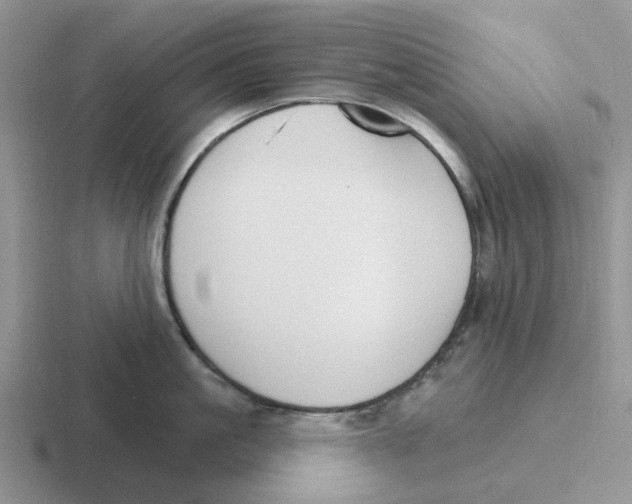 X0000116650861201001041049