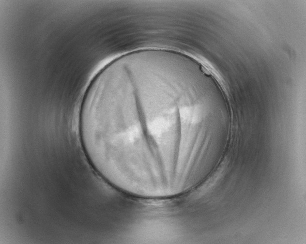 X0000116650862201001041049