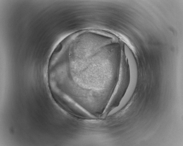 X0000116650863201001041049