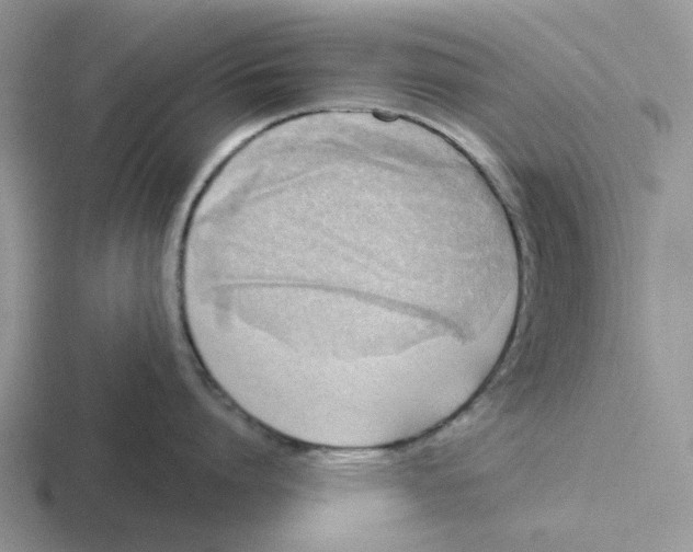 X0000116650864201001041049