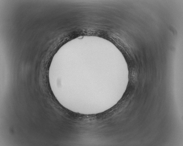 X0000116650865201001041048