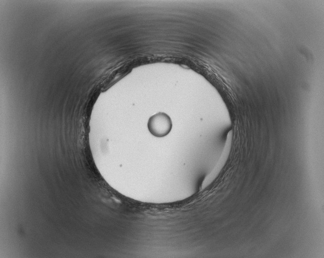 X0000116650868201001041048