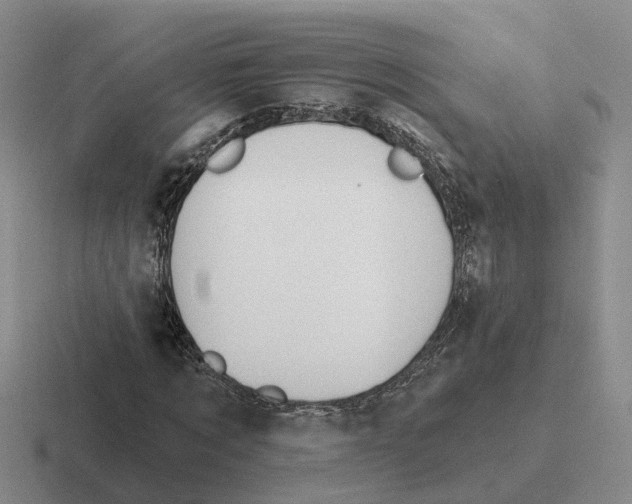 X0000116650869201001041048