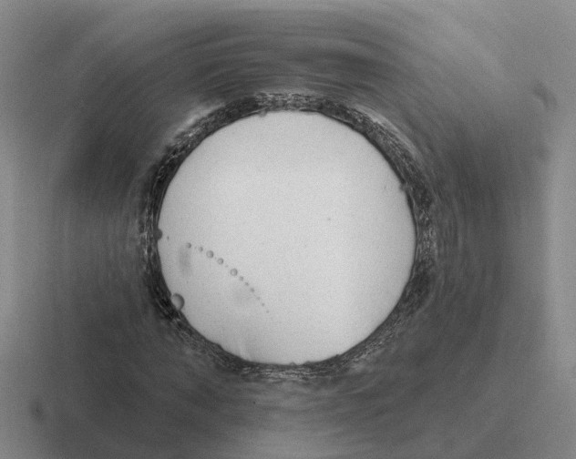 X0000116650870201001041048