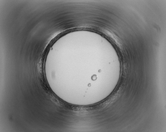 X0000116650875201001041048