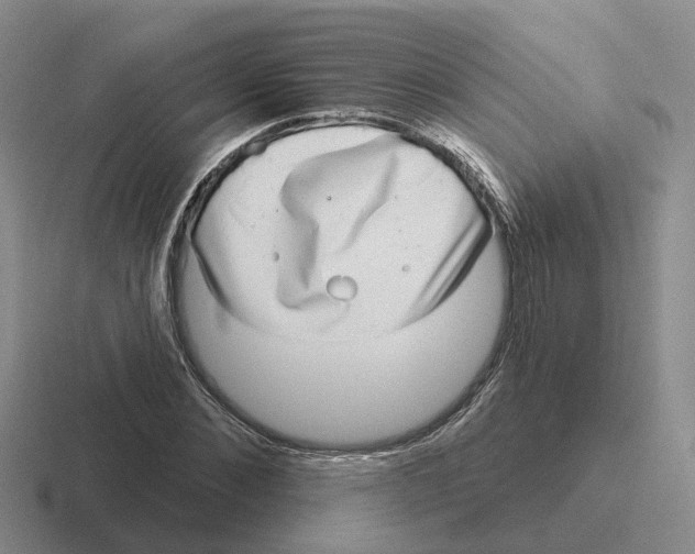 X0000116650876201001041048