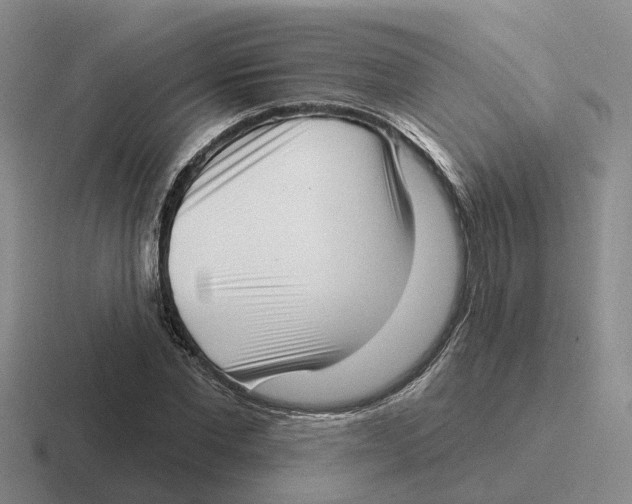 X0000116650877201001041048