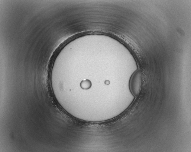 X0000116650880201001041048