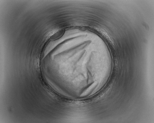 X0000116650881201001041048