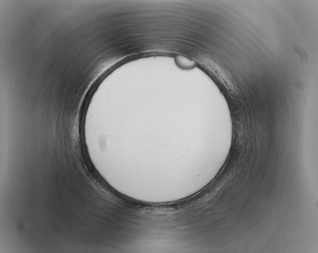 X0000116650884201001041048