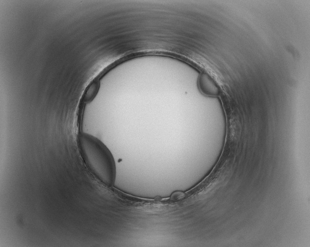 X0000116650885201001041048