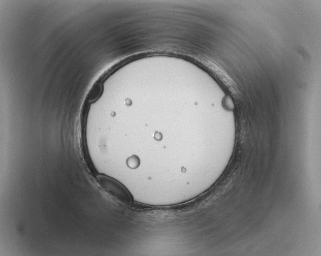 X0000116650888201001041048