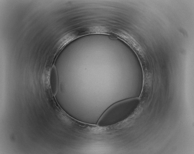 X0000116650889201001041048