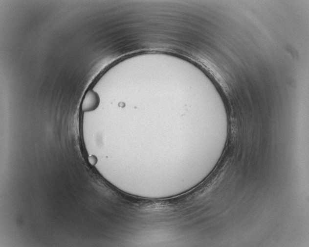 X0000116650891201001041048