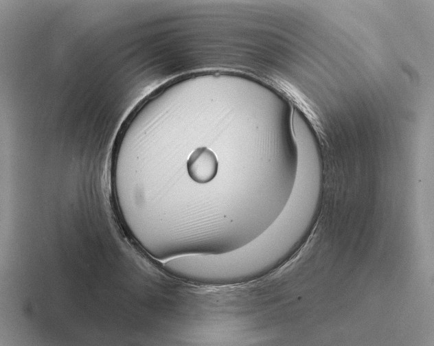 X0000116650892201001041048