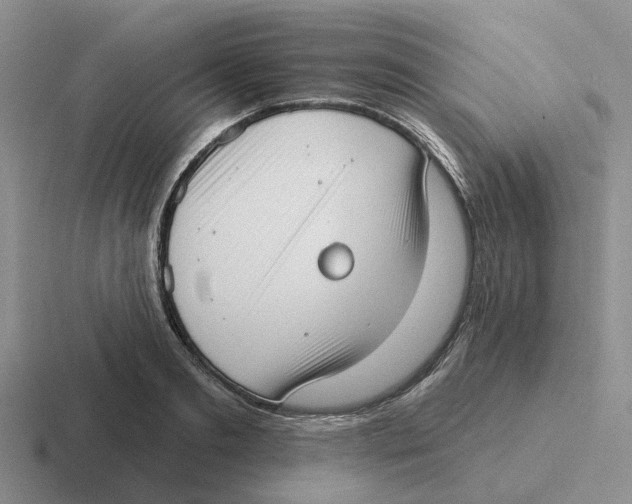 X0000116650893201001041048