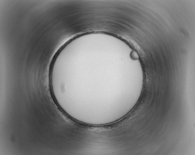 X0000116650894201001041048