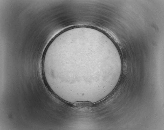 X0000116650895201001041048