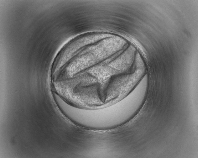 X0000116650896201001041048