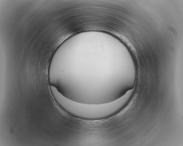 X0000116650897201001041048