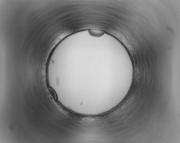 X0000116650898201001041048