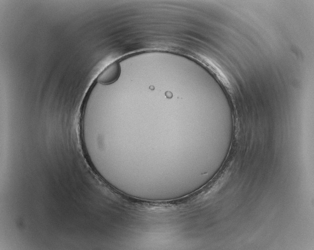 X0000116650899201001041048