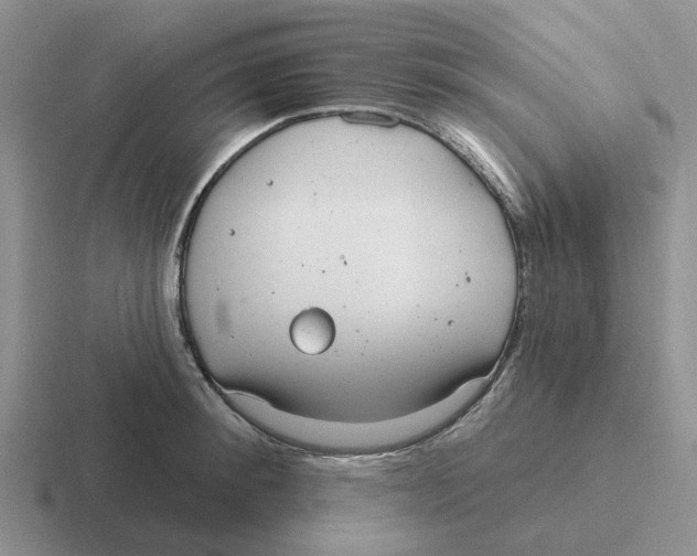 X0000116650900201001041048