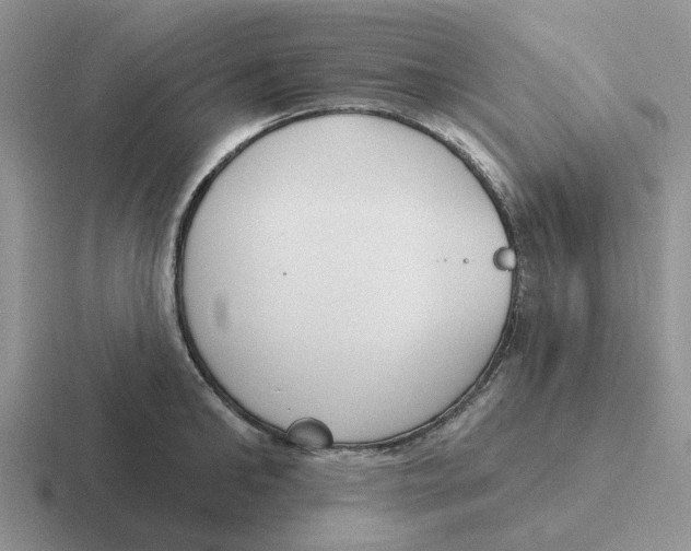 X0000116650902201001041048