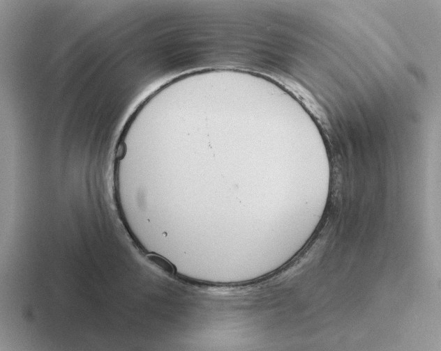 X0000116650904201001041048