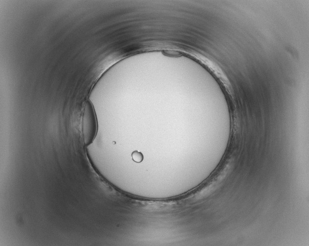 X0000116650905201001041048