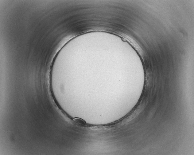 X0000116650906201001041048