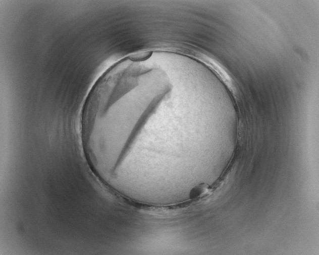 X0000116650907201001041048