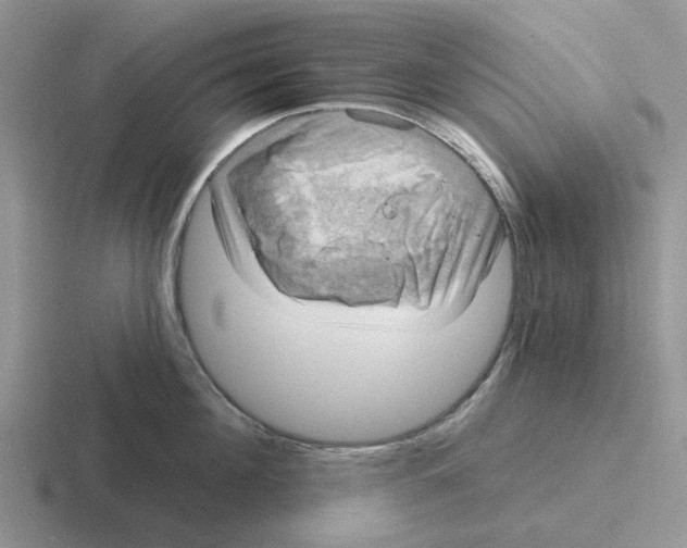 X0000116650908201001041048