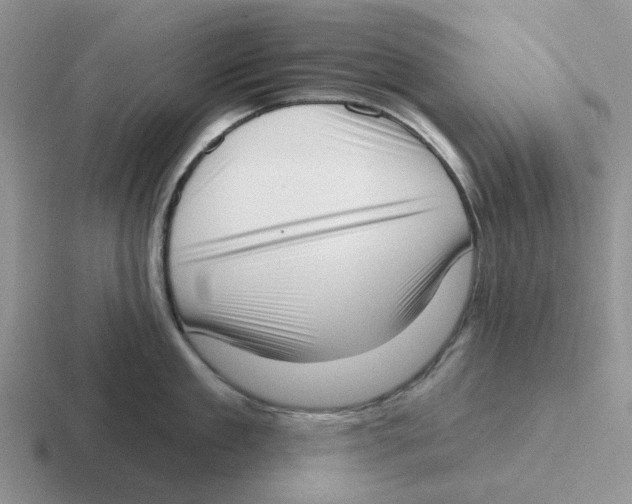 X0000116650909201001041048