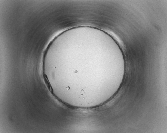 X0000116650910201001041048