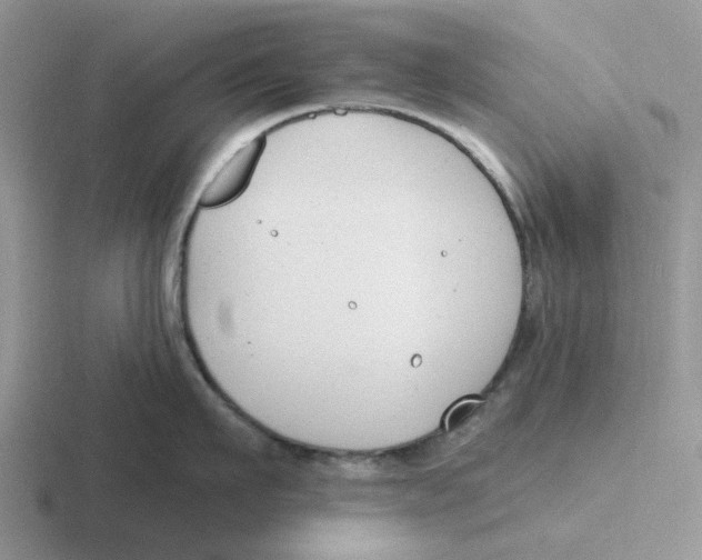 X0000116650911201001041048