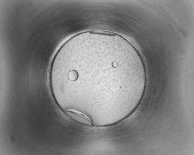 X0000116650912201001041048