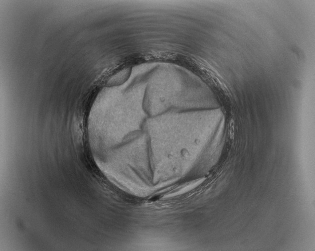 X0000116650915201001041047