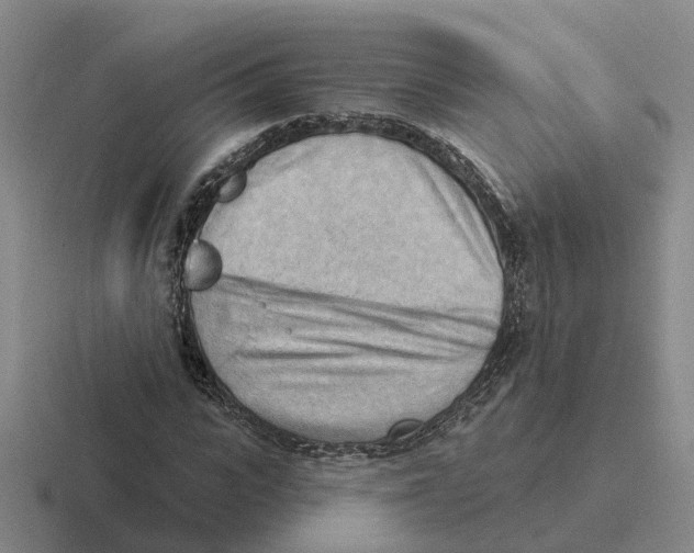 X0000116650919201001041047