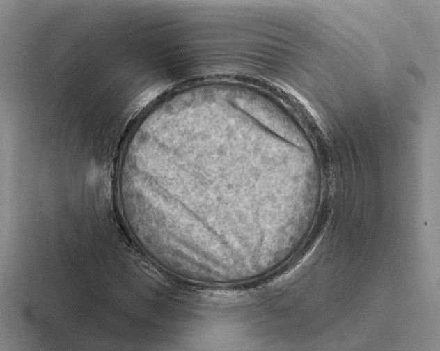 X0000116650921201001041047