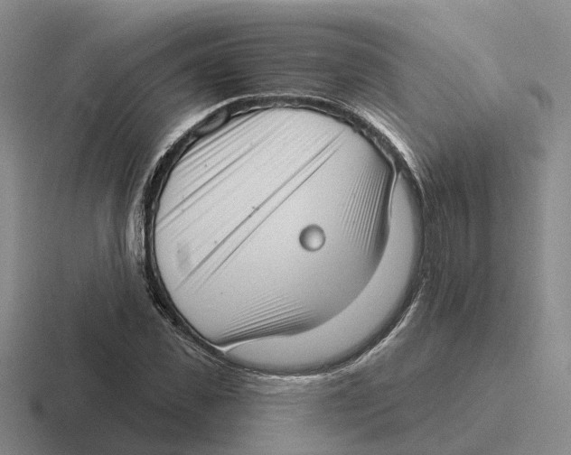 X0000116650925201001041047