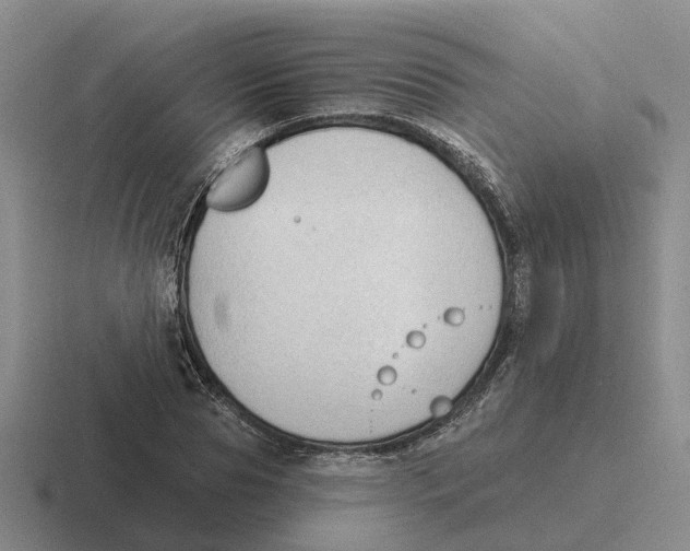 X0000116650929201001041047