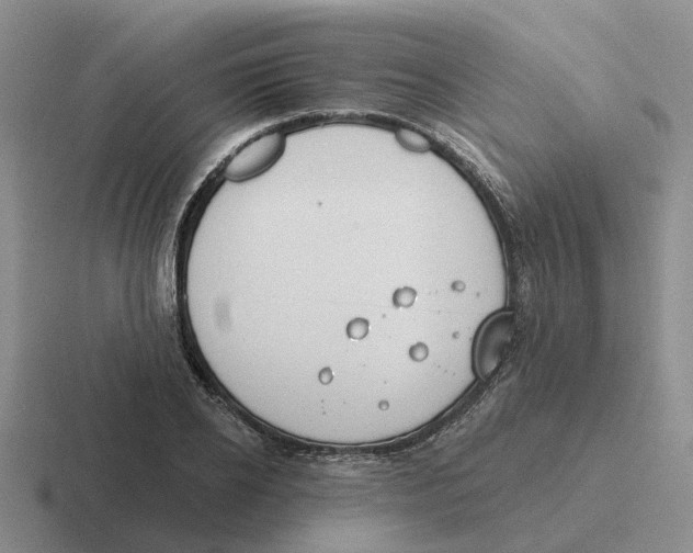 X0000116650934201001041047