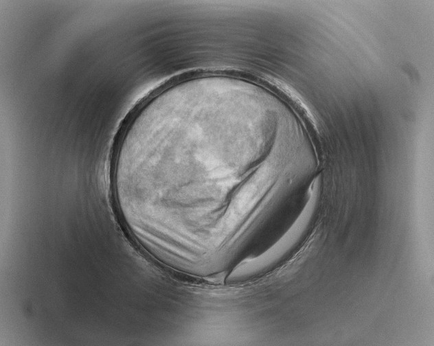 X0000116650935201001041047